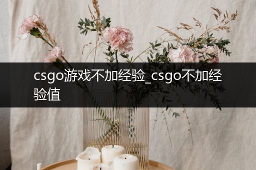 csgo游戏不加经验_csgo不加经验值