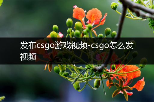 发布csgo游戏视频-csgo怎么发视频