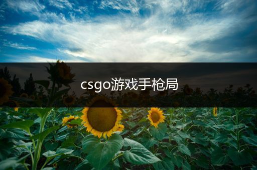 csgo游戏手枪局