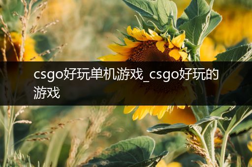 csgo好玩单机游戏_csgo好玩的游戏
