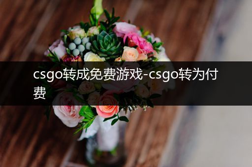 csgo转成免费游戏-csgo转为付费