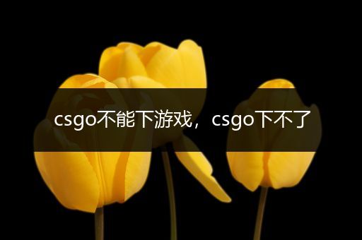 csgo不能下游戏，csgo下不了