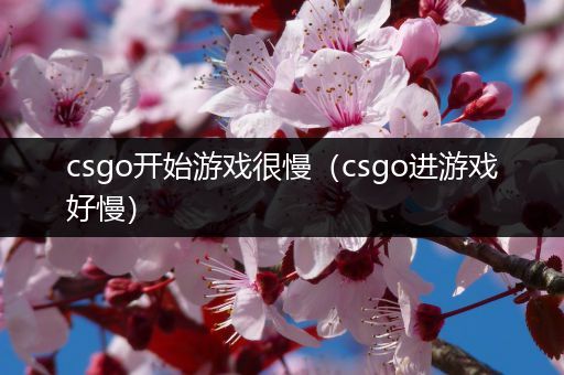 csgo开始游戏很慢（csgo进游戏好慢）