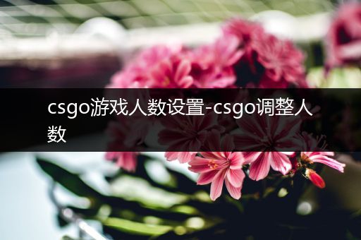 csgo游戏人数设置-csgo调整人数