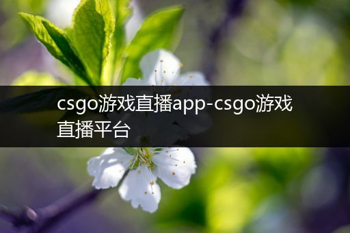 csgo游戏直播app-csgo游戏直播平台