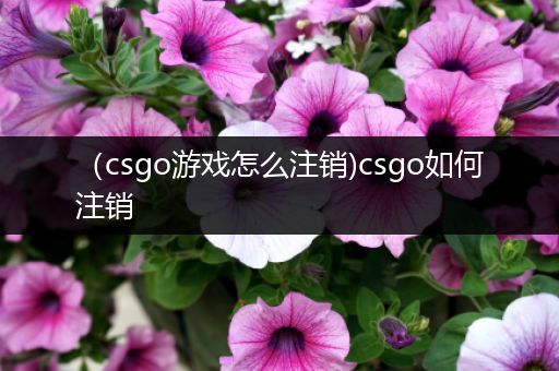 （csgo游戏怎么注销)csgo如何注销