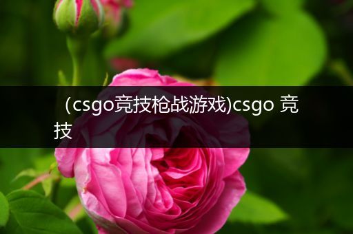 （csgo竞技枪战游戏)csgo 竞技