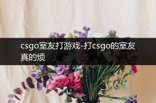 csgo室友打游戏-打csgo的室友真的烦