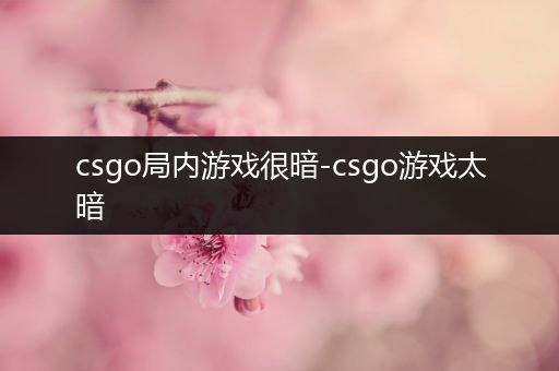 csgo局内游戏很暗-csgo游戏太暗