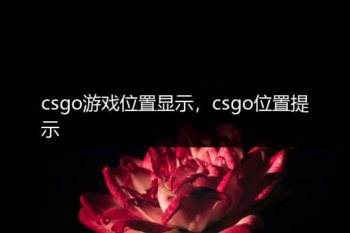 csgo游戏位置显示，csgo位置提示