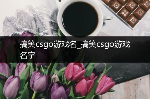 搞笑csgo游戏名_搞笑csgo游戏名字