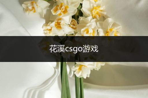 花溪csgo游戏