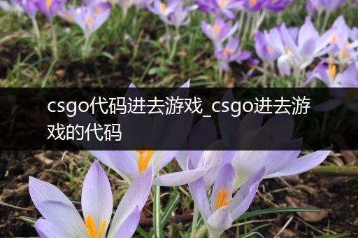 csgo代码进去游戏_csgo进去游戏的代码