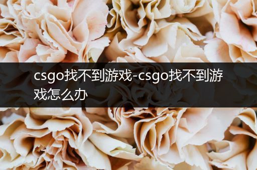 csgo找不到游戏-csgo找不到游戏怎么办