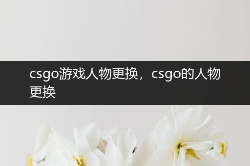 csgo游戏人物更换，csgo的人物更换