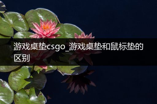 游戏桌垫csgo_游戏桌垫和鼠标垫的区别