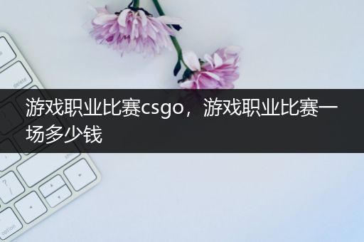 游戏职业比赛csgo，游戏职业比赛一场多少钱