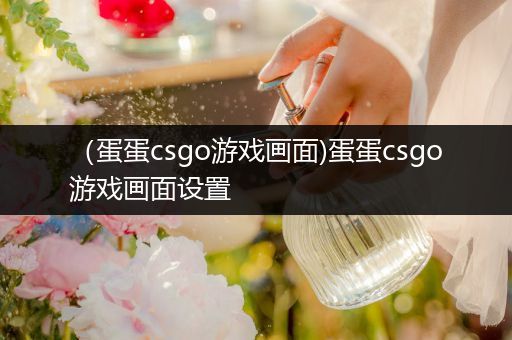 （蛋蛋csgo游戏画面)蛋蛋csgo游戏画面设置