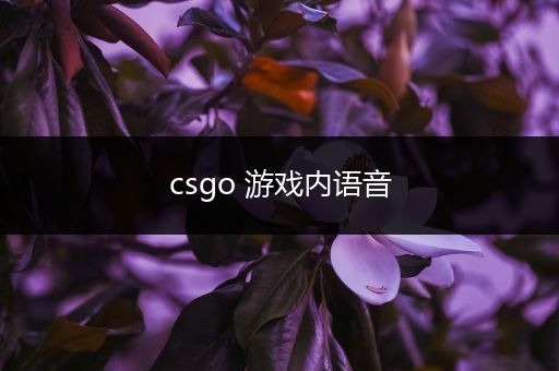 csgo 游戏内语音