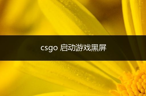 csgo 启动游戏黑屏