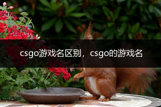 csgo游戏名区别，csgo的游戏名