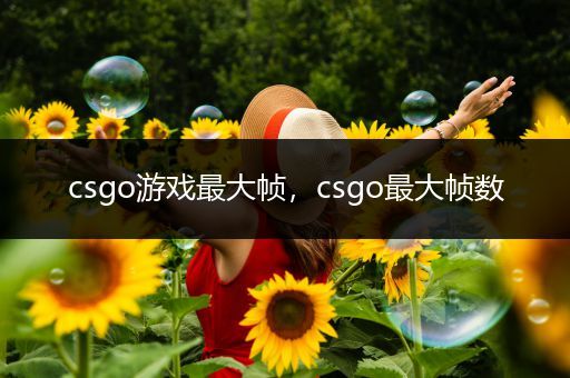 csgo游戏最大帧，csgo最大帧数