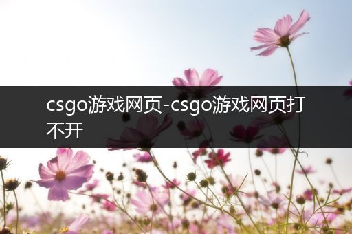 csgo游戏网页-csgo游戏网页打不开