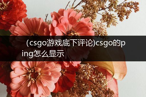 （csgo游戏底下评论)csgo的ping怎么显示