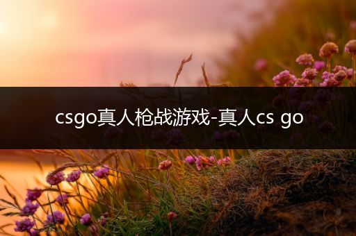 csgo真人枪战游戏-真人cs go