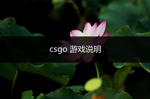 csgo 游戏说明