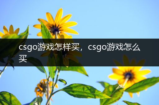 csgo游戏怎样买，csgo游戏怎么买