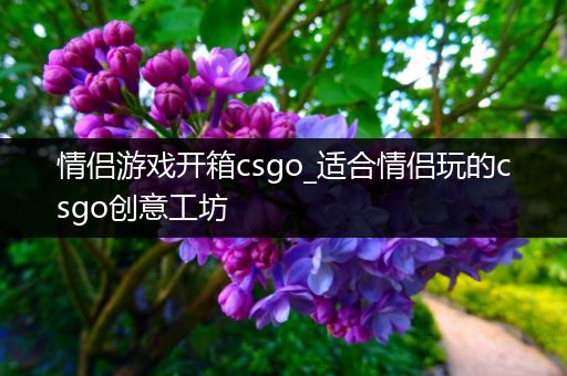 情侣游戏开箱csgo_适合情侣玩的csgo创意工坊