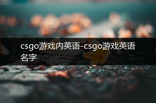 csgo游戏内英语-csgo游戏英语名字