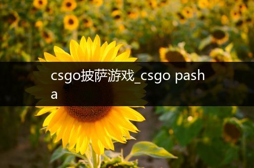 csgo披萨游戏_csgo pasha