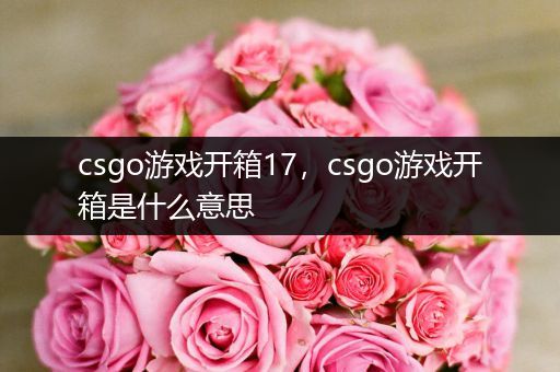 csgo游戏开箱17，csgo游戏开箱是什么意思