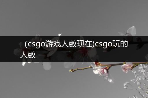 （csgo游戏人数现在)csgo玩的人数