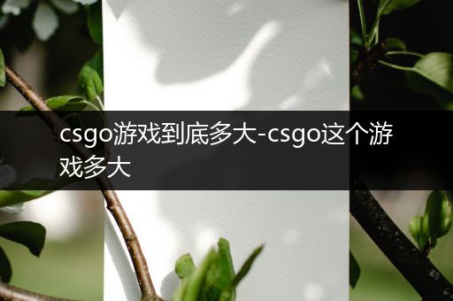 csgo游戏到底多大-csgo这个游戏多大