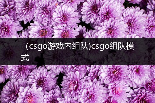 （csgo游戏内组队)csgo组队模式