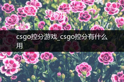 csgo控分游戏_csgo控分有什么用