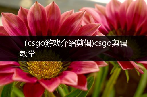 （csgo游戏介绍剪辑)csgo剪辑教学