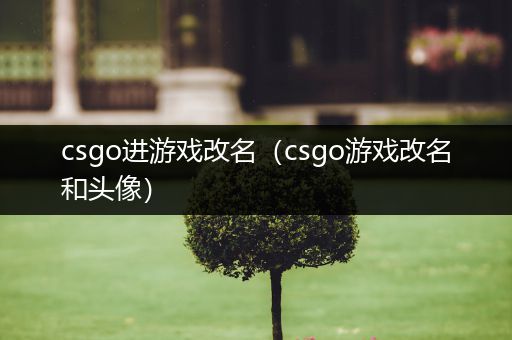 csgo进游戏改名（csgo游戏改名和头像）