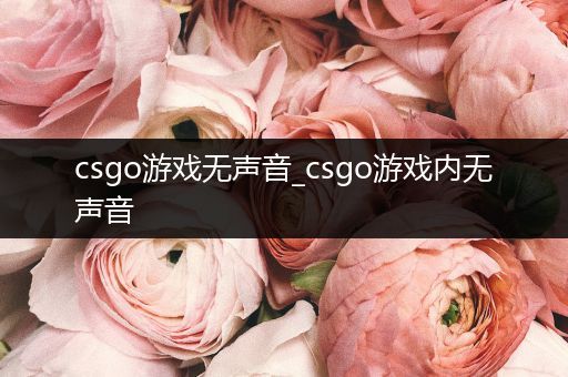 csgo游戏无声音_csgo游戏内无声音