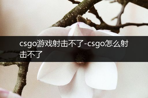 csgo游戏射击不了-csgo怎么射击不了