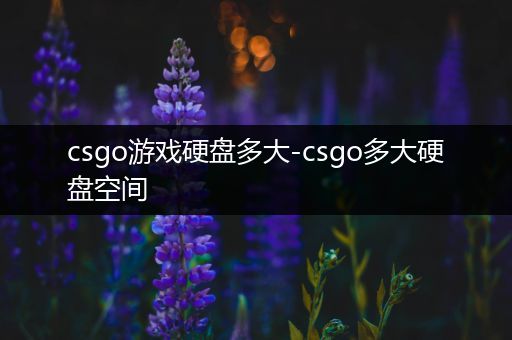 csgo游戏硬盘多大-csgo多大硬盘空间