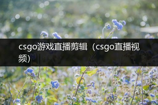 csgo游戏直播剪辑（csgo直播视频）