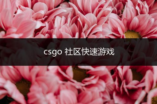 csgo 社区快速游戏