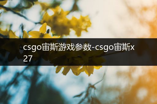 csgo宙斯游戏参数-csgo宙斯x27