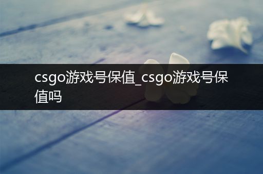 csgo游戏号保值_csgo游戏号保值吗