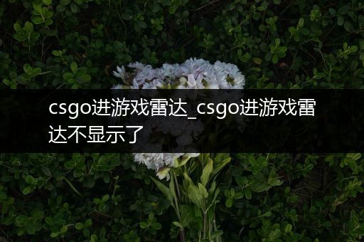 csgo进游戏雷达_csgo进游戏雷达不显示了