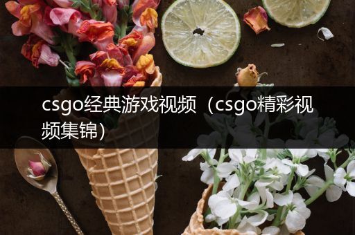 csgo经典游戏视频（csgo精彩视频集锦）